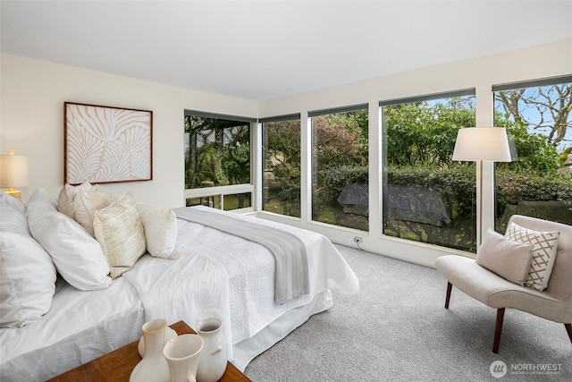 view of carpeted bedroom