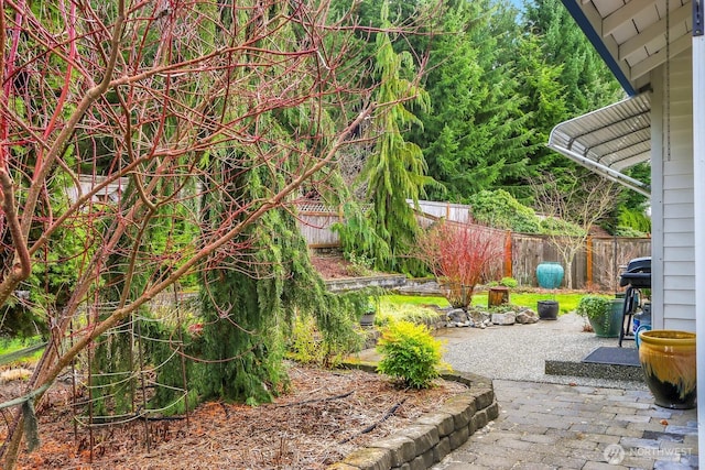 view of yard with a fenced backyard and a patio