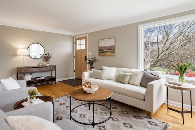 living area featuring baseboards, plenty of natural light, and wood finished floors