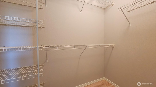 walk in closet featuring wood finished floors