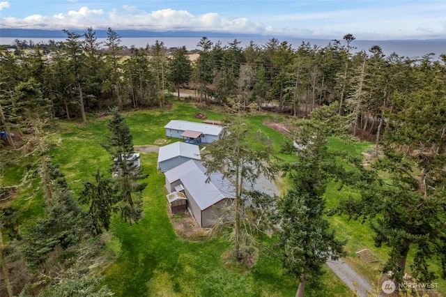 aerial view with a view of trees and a water view