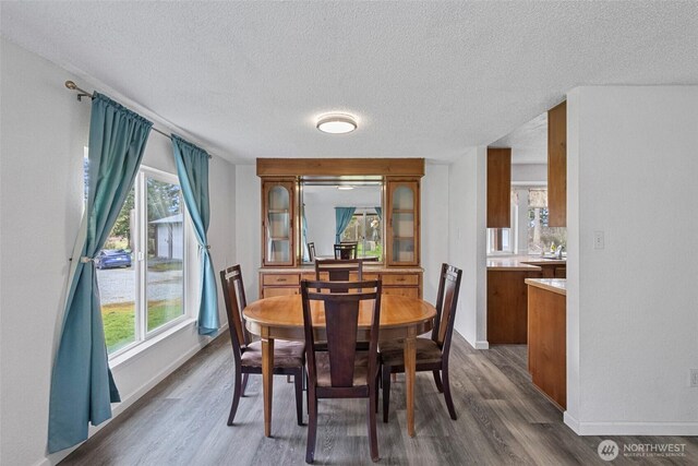 dining room featuring dark wood-style floors, a healthy amount of sunlight, and a textured ceiling