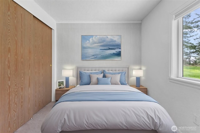 bedroom featuring carpet flooring and a closet