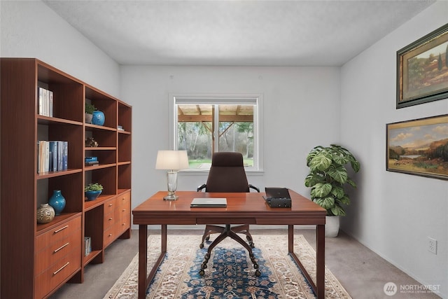 office space with carpet floors