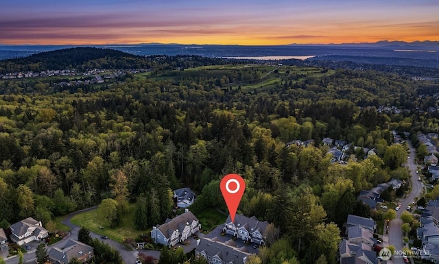 bird's eye view featuring a forest view and a mountain view