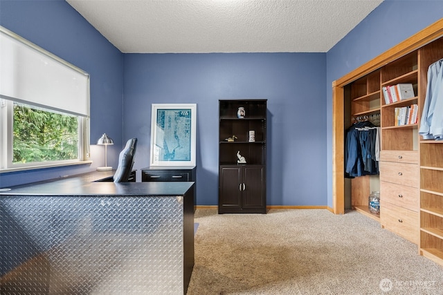 office space featuring baseboards, carpet floors, and a textured ceiling