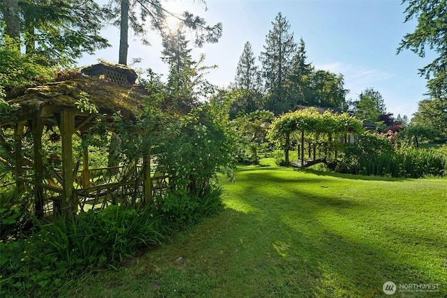 26821 NE 124th St, Duvall, WA 98019 - view of grassy yard