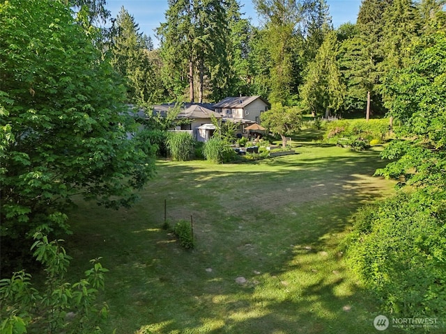 26821 NE 124th St, Duvall, WA 98019 - view of green lawn