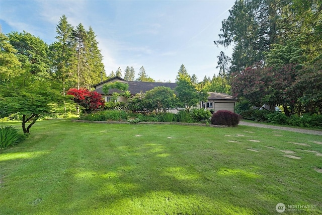 26821 NE 124th St, Duvall, WA 98019 - view of green lawn with a garage and driveway
