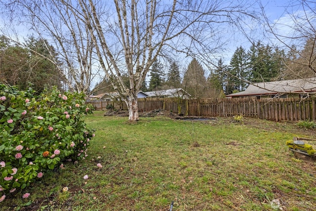 view of yard featuring a fenced backyard