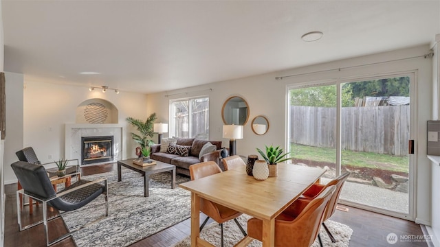 living room featuring a healthy amount of sunlight, wood finished floors, and a high end fireplace