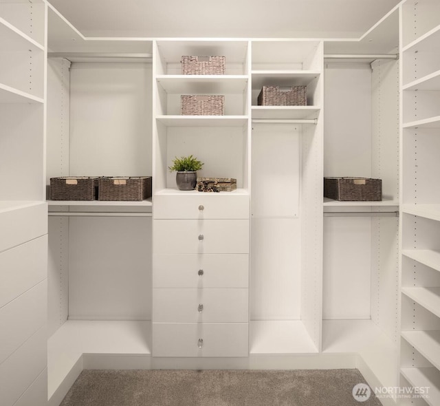 spacious closet featuring carpet