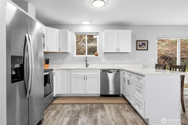 kitchen featuring a sink, a peninsula, plenty of natural light, and stainless steel appliances