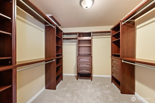 spacious closet featuring light carpet