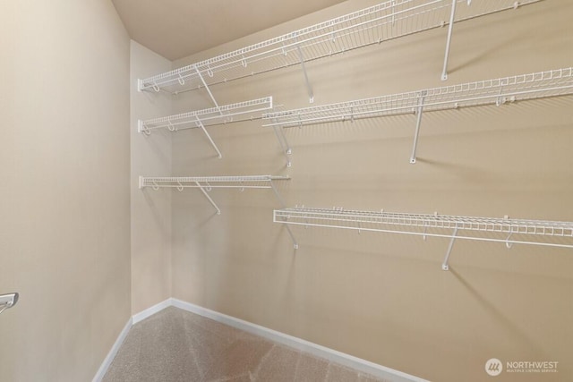 spacious closet featuring carpet floors