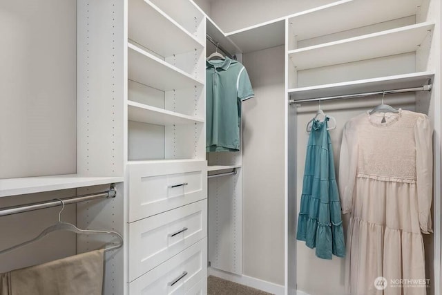 view of walk in closet