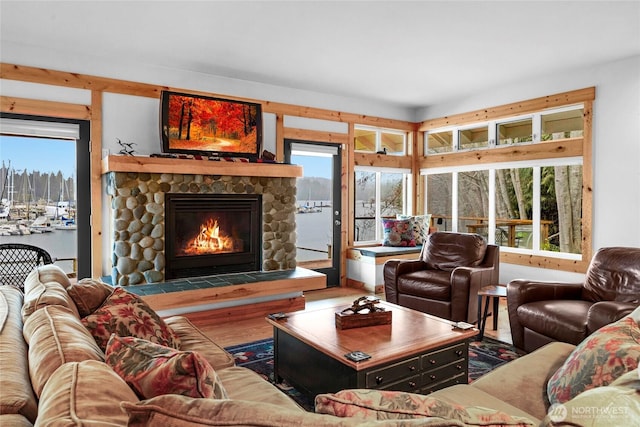 living room with a stone fireplace