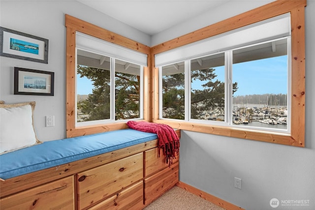 bedroom with baseboards and multiple windows