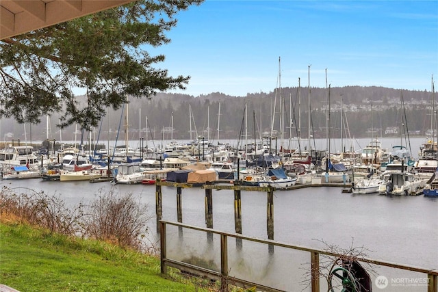 view of dock featuring a water view