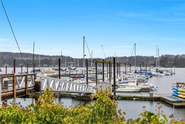 view of dock with a water view