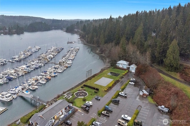 bird's eye view with a view of trees and a water view