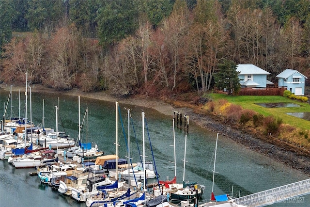 property view of water featuring a floating dock