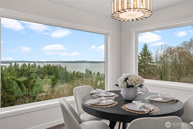 dining area featuring plenty of natural light and a water view