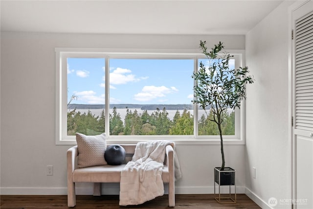 sitting room featuring baseboards, wood finished floors, and a water view