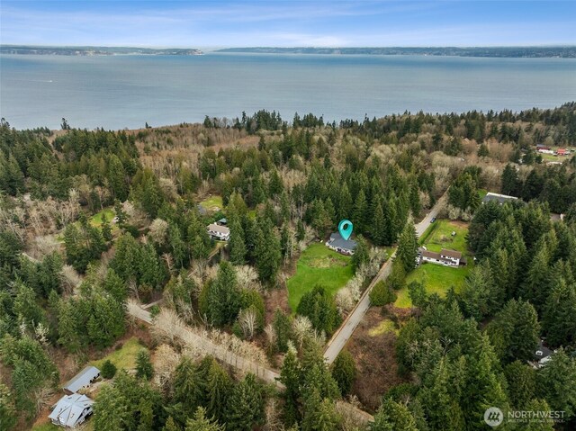 drone / aerial view featuring a water view and a view of trees