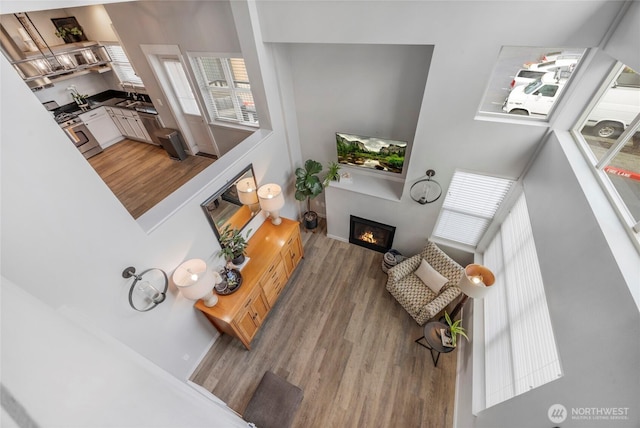 living room with a glass covered fireplace and wood finished floors