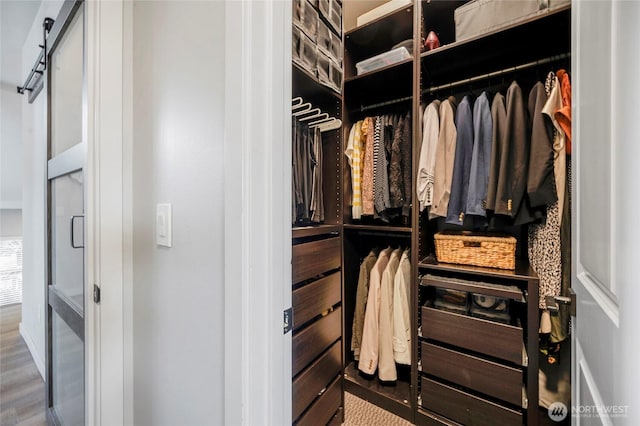 walk in closet featuring wood finished floors