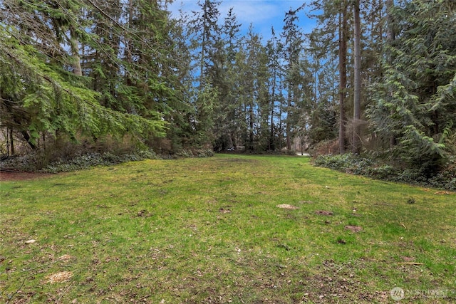 view of yard with a view of trees