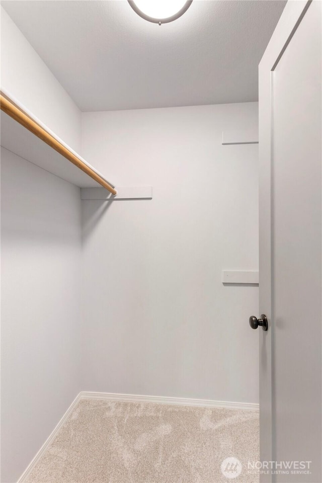 walk in closet with carpet flooring