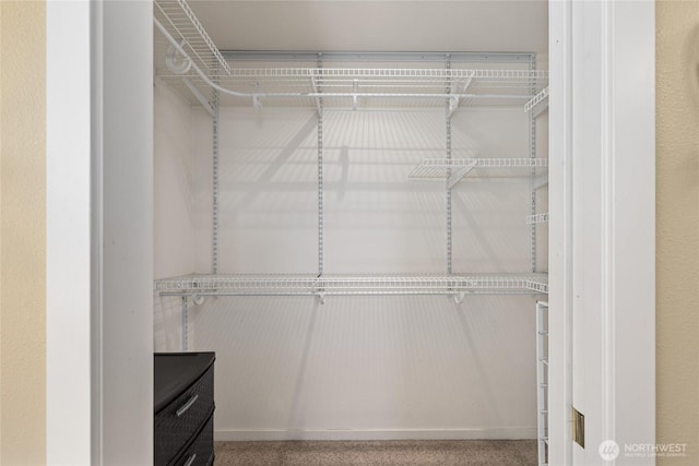 view of spacious closet