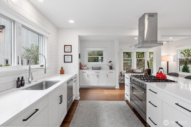 kitchen featuring high end stainless steel range oven, a sink, backsplash, and island range hood