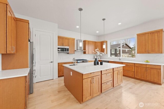 kitchen with an island with sink, a sink, appliances with stainless steel finishes, wall chimney exhaust hood, and light wood finished floors