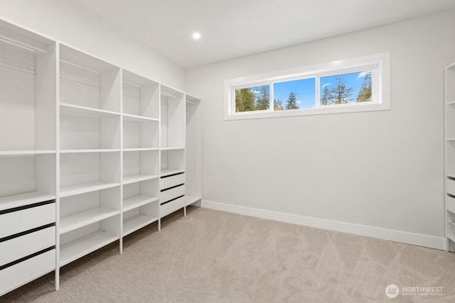 spacious closet with carpet floors