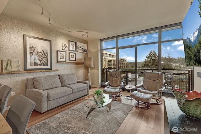 living room featuring wallpapered walls, rail lighting, wood finished floors, and expansive windows