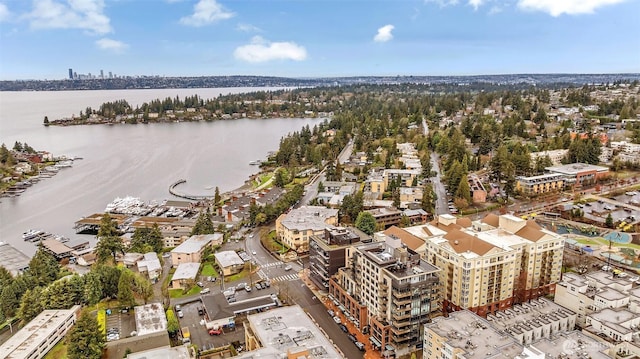 bird's eye view featuring a city view and a water view