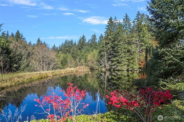 view of water feature featuring a wooded view