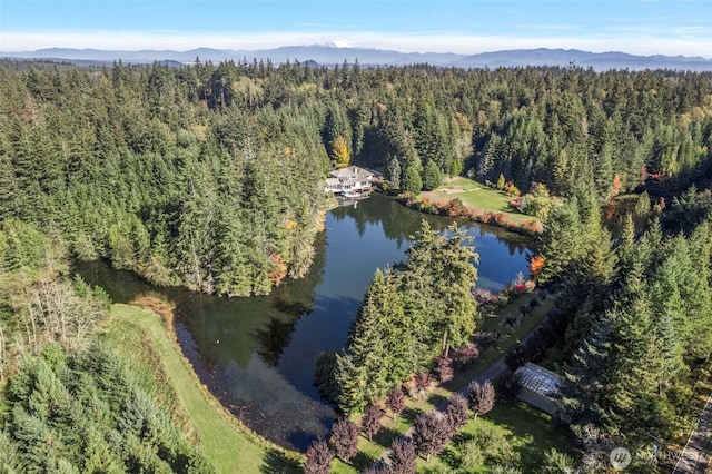 drone / aerial view featuring a view of trees and a water and mountain view