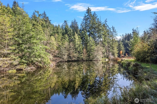 water view with a view of trees