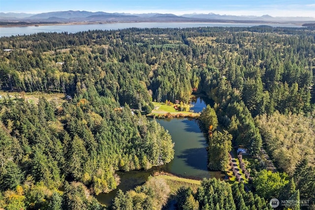 drone / aerial view with a forest view and a water and mountain view