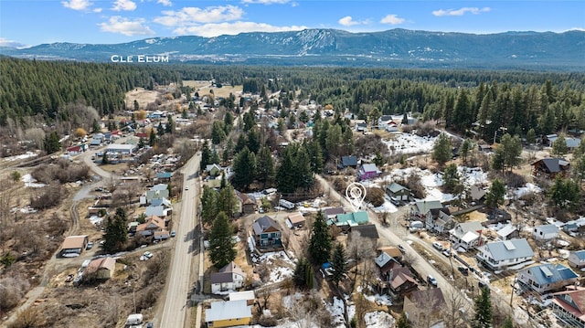 birds eye view of property with a mountain view and a view of trees