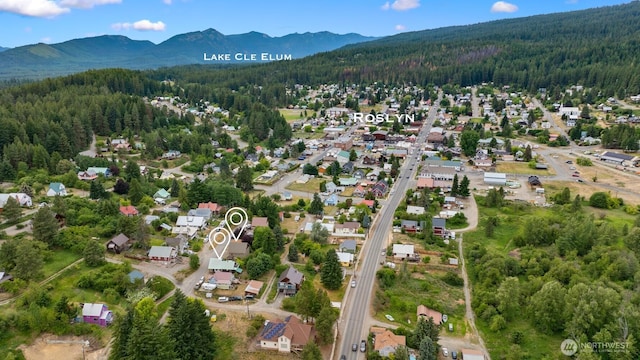 313 S 2nd St, Roslyn, WA 98941 - aerial view of property's location with a heavily wooded area and mountains