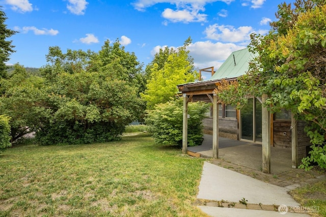 313 S 2nd St, Roslyn, WA 98941 - view of green lawn featuring a patio