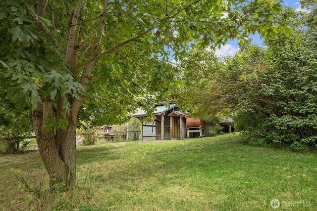 313 S 2nd St, Roslyn, WA 98941 - view of grassy yard