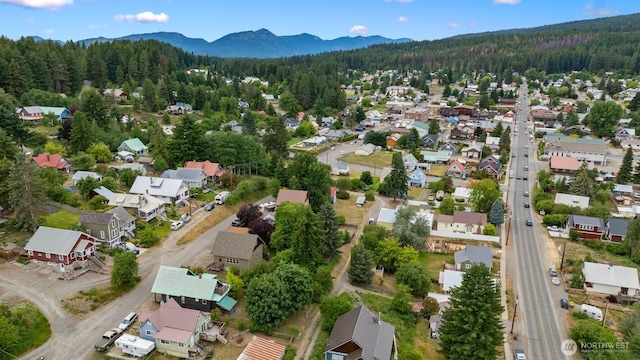 313 S 2nd St, Roslyn, WA 98941 - aerial view of property's location with nearby suburban area