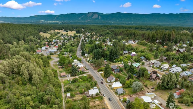 313 S 2nd St, Roslyn, WA 98941 - view of property location featuring a mountain backdrop