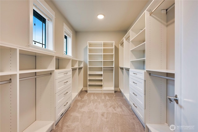 spacious closet with light colored carpet